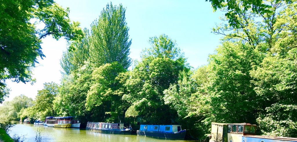 Canal boats