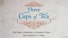 Three Cups of Tea - cover excerpt